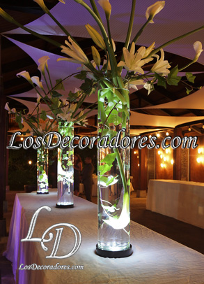 Decoracin con luz led y calas